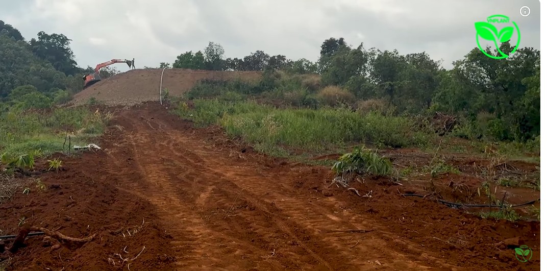 vuon chua co ho nuoc